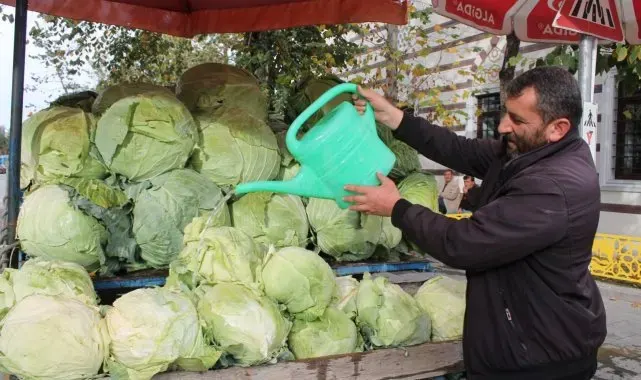 Bayburt'ta organik tarımla üretilen organik lahanalar tezgahta yerini aldı