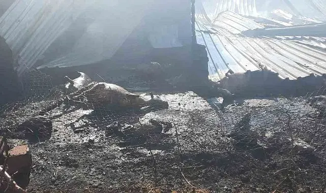 Çukurkuyu'da çıkan çiftlik yangınında 250 küçükbaş hayvan telef oldu