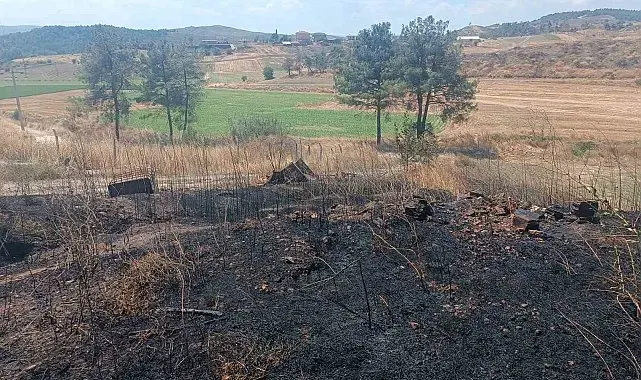 Bilecik'te ziraat alanında çıkan yangın büyümeden söndürüldü
