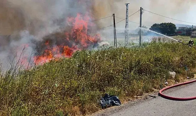 Burhaniye'de ot yangını trafiği etkiledi