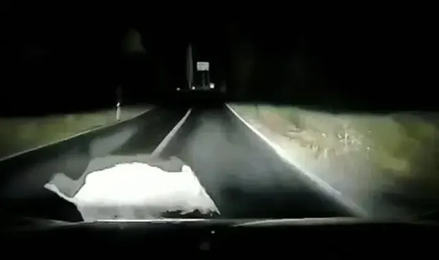 Otomobil domuza çarptı; çarpma anı araç kamerasında