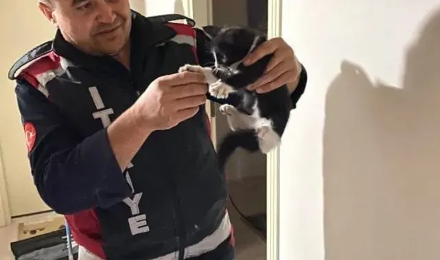 Baca deliğine düşen kedi kurtarıldı