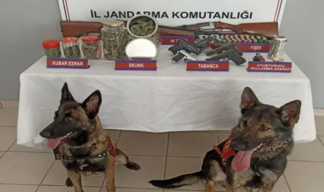 Zonguldak'ta evde uyuşturucu ve ruhsatsız silah operasyonu