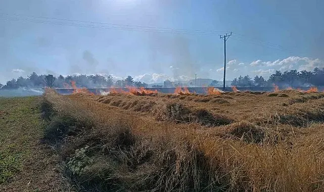 Kastamonu'da çıkan yangında 13 dönümlük tarar zarar gördü