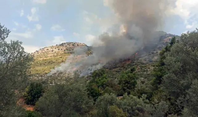 Seydikemer orman yangını söndürüldü