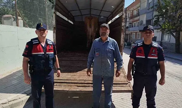 Eskişehir'de çalınan büyükbaş hayvanlardan biri Bilecik'te bulundu