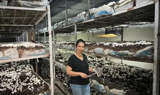 Emetli girişimci kadın kültür mantarı üretiyor