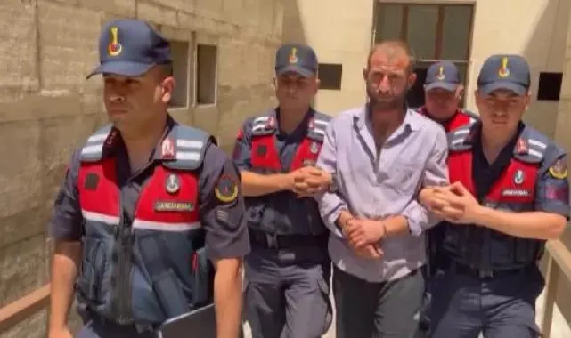 Ormanı yaktıktan sonra gittiği evinde uyurken yakalandı; 'Ben orman sevdalısıyım' dedi