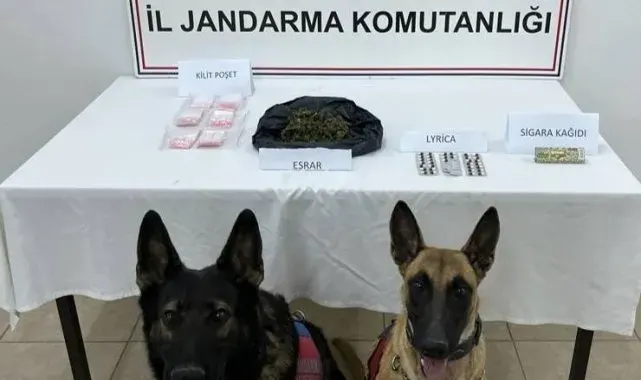 Kuşadası'nda uyuşturucu operasyonu: 1 tutuklama