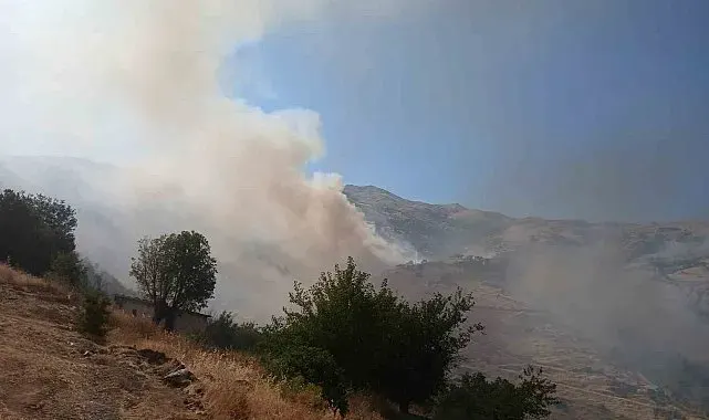 Pütürge'deki arazi yangınına müdahale sürüyor