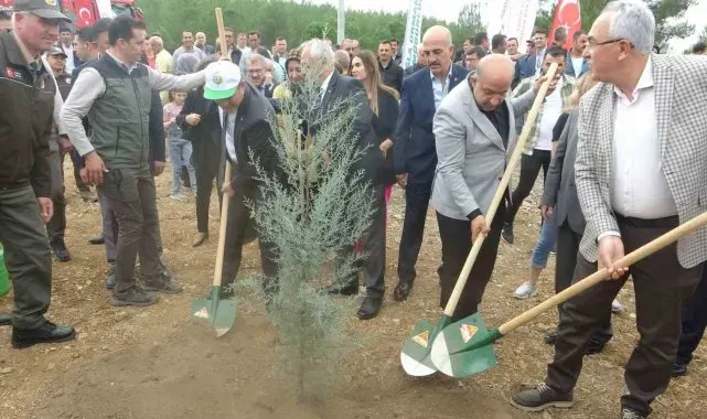 Muğla'da 100. yılda 100 fidan dikildi