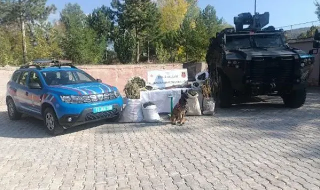 Bitlis'te 28 kilo kubar esrar ele geçirildi