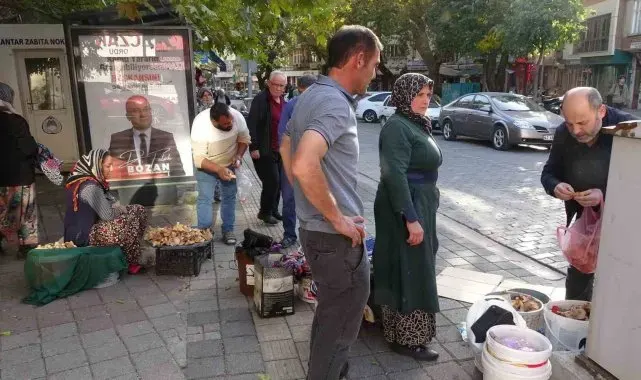 'Toplaması zahmetli yemesi lezzetli mantar' için pazar kuruldu