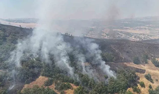 Tunceli'de orman yangını: Havadan ve karadan müdahaleye başlandı