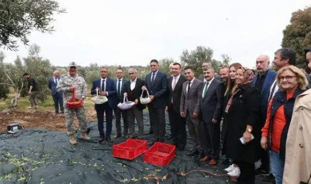 Aliağa'da 2'nci Zeytin Hasat Şenliği başladı