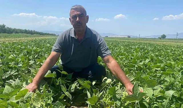Bu köyde çiftçi sadece tarlasını hazırlıyor, gerisini kooperatif yapıyor