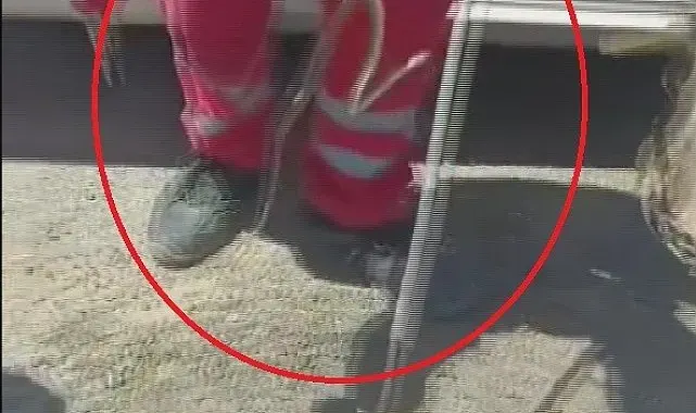 Aracına binerken fark ettiği yılanı itfaiye ekipleri yakaladı