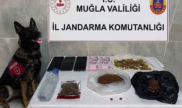 Jandarma KOM ekiplerinden Temmuz'da 24 operasyon