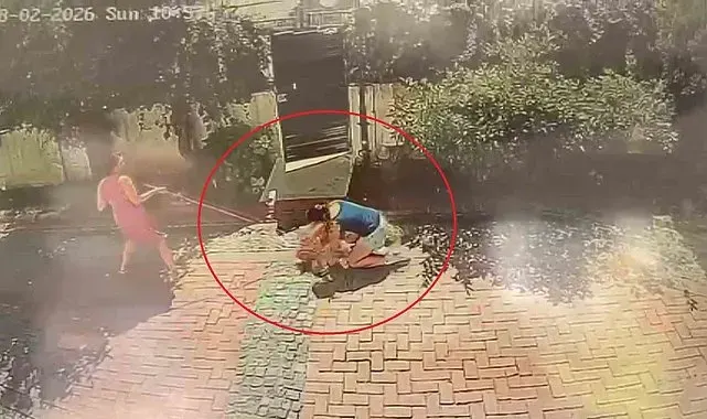 Samsun'da pitbull dehşeti: Küçük kızı yere savurdu, köpeğini ise ağır yaraladı
