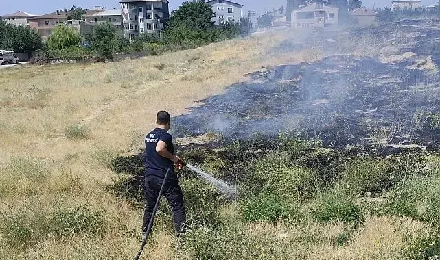 Van'da anız yangını