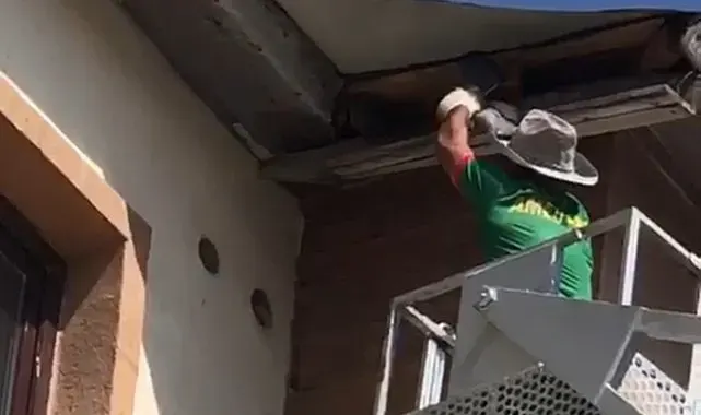 Yüksekova'da nefes kesen kurtarma: Çatıda mahsur kalan güvercin için zamanla yarışıldı