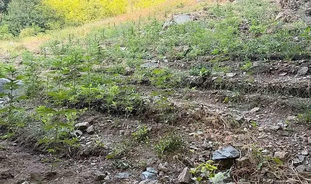 Bingöl'de çeşitli suçlardan 76 şüpheli yakalandı