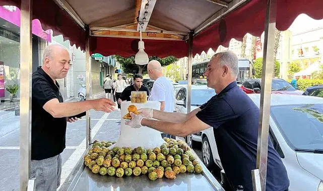 Sıcaklarla birlikte dikenli incir satışları arttı
