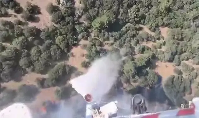 Çanakkale'deki orman yangınına havadan ve karadan müdahale sürüyor