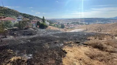 Bozüyük’te Korkutan Otluk Yangını Ekiplerin Hızlı Müdahalesiyle Söndürüldü