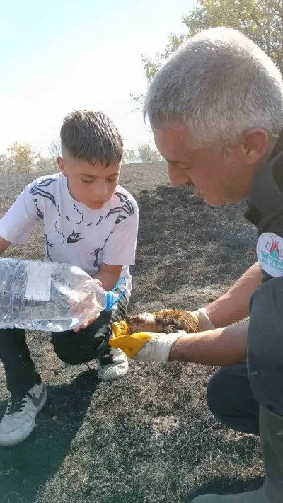 Nevşehir'deki Büyük Yangında 7 Bağ Evi Kül Oldu: İtfaiye Ekipleri Alevlerin Arasındaki Yaralı Kirpiyi Hayata Döndürdü