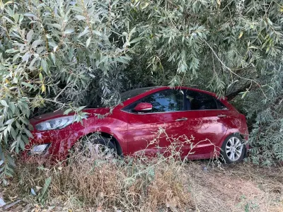 Malatya'da Otomobil Şarampole Devrildi: 1 Yaralı