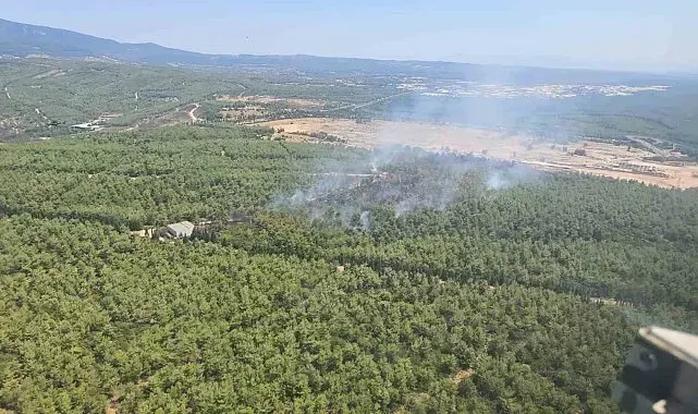 Buca'daki orman yangını kontrol altına alındı