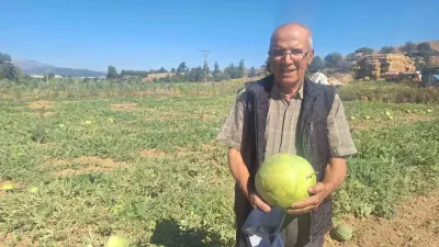 Manisalı Çiftçi Dede Mirası Ata Tohumu Karpuz Geleneğini Yaşatıyor