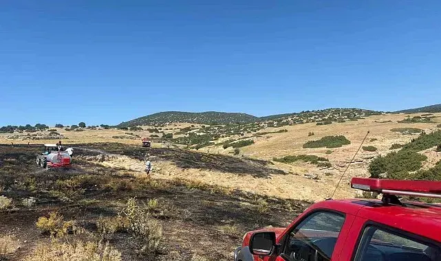 Anız yangını ormanlık alana sıçramadan söndürüldü