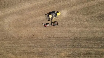 Tohumdan Hasada Ayçiçeğinin Büyüleyici Yolculuğu Dronla Kaydedildi