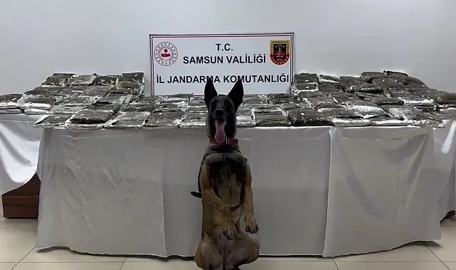 Samsun'da tıra gizlenmiş 132 kilo toz esrar ele geçirildi
