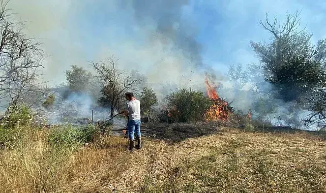Çankırı'da örtü yangını ağaçlık alana sıçradı