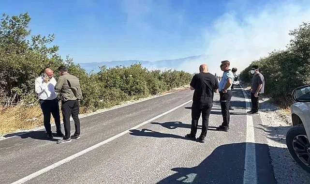 Bursa'da ormanlık alanda yangın çıktı