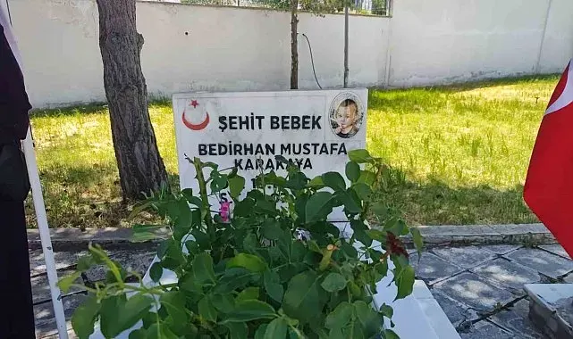 PKK'nın şehit ettiği 11 aylık Bedirhan bebek ve annesi unutulmadı
