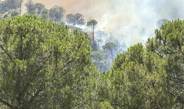 Balıkesir'deki yangın tekrar yayılıyor