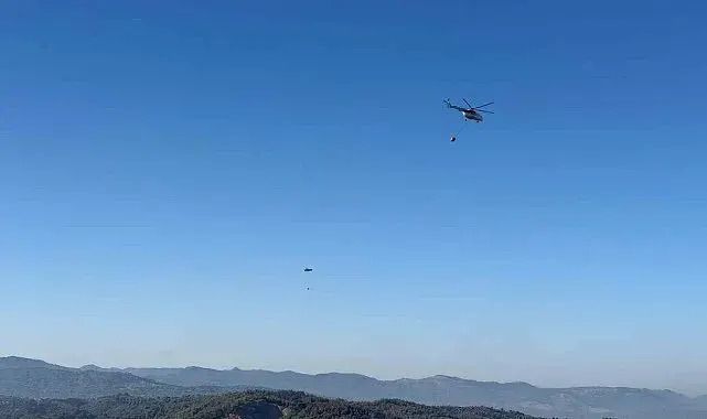 Gömeç, Ayvalık ve Bergama'da binlerce hektar ağacı kül eden yangın kontrol altına alındı