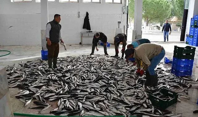 Muğla'nın Haziran ayı ihracatı 125,9 milyon dolar