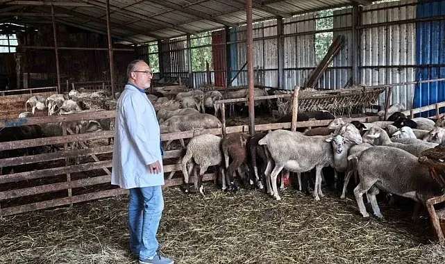 Süt kalitesi ve hayvan sağlığı güvence altında