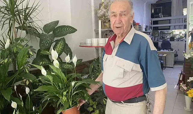 Direkt güneş ışığı çiçekler için zararlı