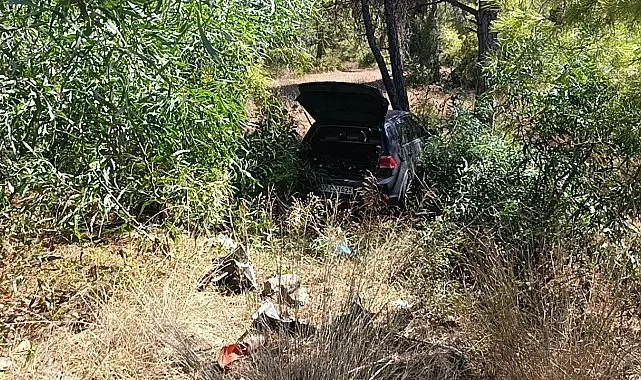 Önündeki otomobile çarptı, ardından ormana daldı: 1 yaralı