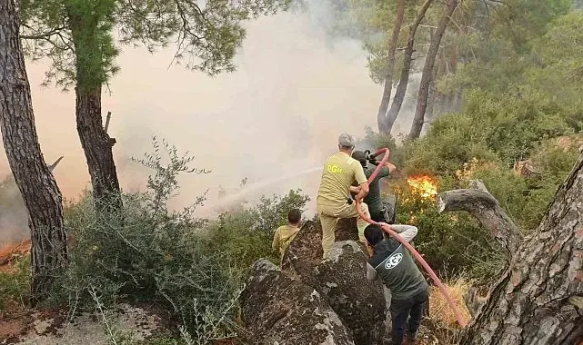 Çine yangınına müdahale ikinci günde sürüyor