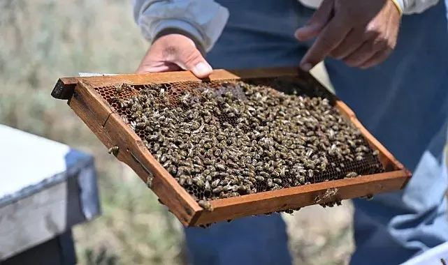 KUDAKA'dan arıcılık sektörünün geleceğine yön verecek dev adım