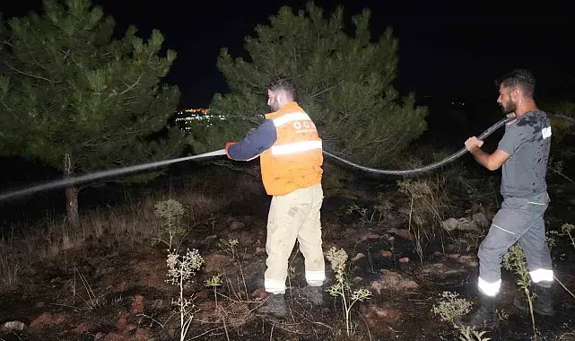 Bir kuş çam ormanlarını alevlerin eşiğine getirdi: Yangın büyümeden söndürüldü