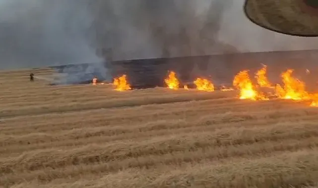 Diyarbakır'da 5 bin dönüm arazi alevlere teslim oldu