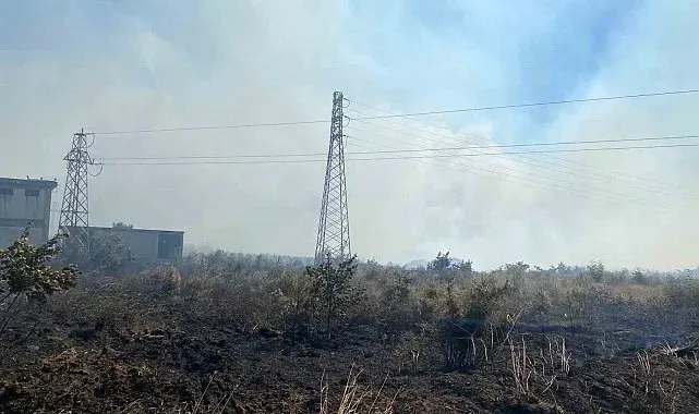 Çanakkale'de tarım arazisinde yangın